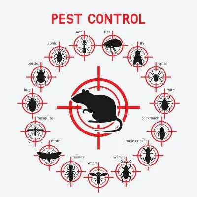 Squished Pest and Termite Management